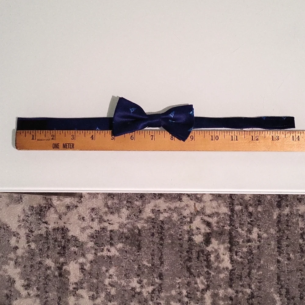 Elegant Blue Bow Tie